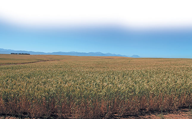 Converting from traditional to conservation farming Converting from traditional to conservation farming