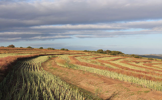 Predicting the future of farming