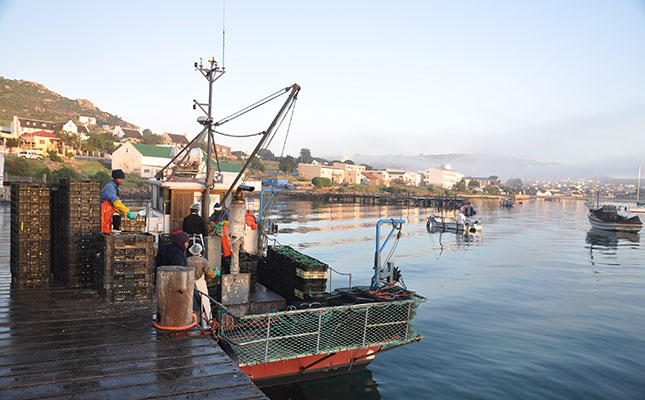 Fishing company interdicts DAFF on inshore trawl permits