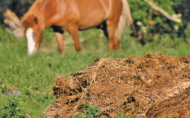 The need for manure to be broken down