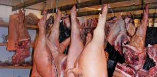 pork export