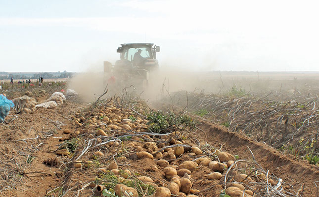 Outlook: Uncertainty about potato production in 2017