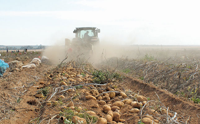 Outlook: Uncertainty about potato production in 2017 Outlook: Uncertainty about potato production in 2017