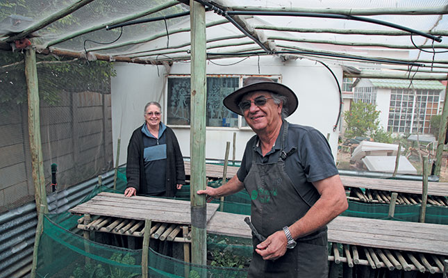 Snail farming: making good use of a small space