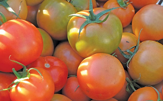 Seychelles bans SA tomato imports due to suspected TLM