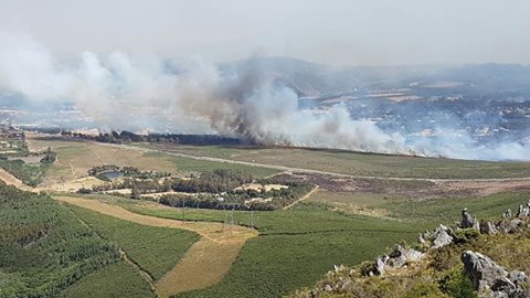 Wildfire on the Helderberg Mountain contained