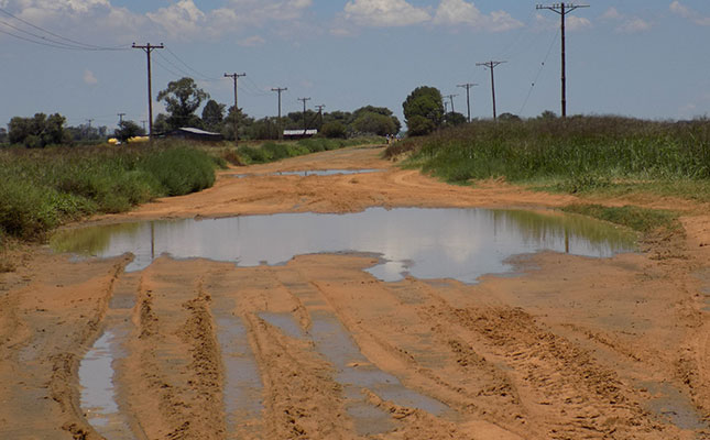 Dineo more blessing than curse for eastern SA farmers Dineo more blessing than curse for eastern SA farmers