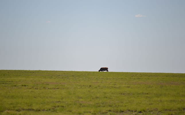 Farmers must do their homework before expanding into Africa Farmers must do their homework before expanding into Africa