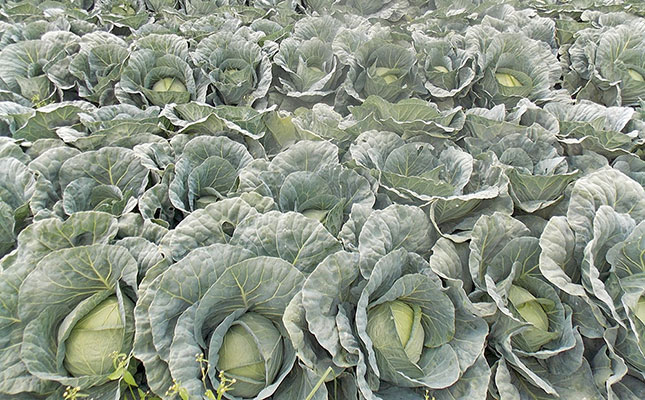 Food inflation increases by more than 10% in Kenya Food inflation increases by more than 10% in Kenya