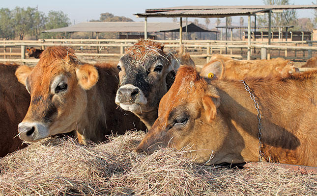 Understanding fodder flow Understanding fodder flow