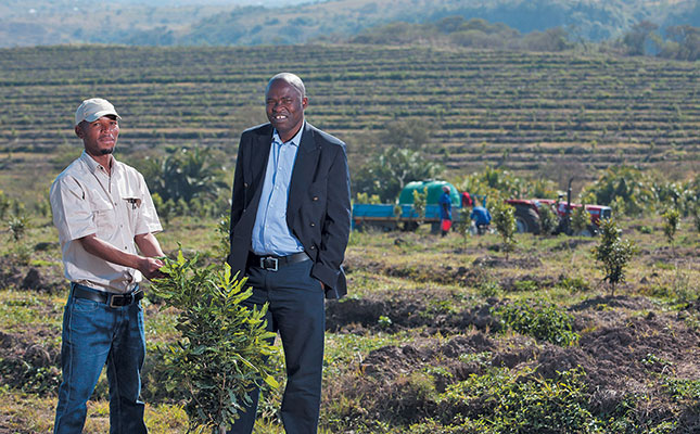 Macadamia partnership turns communities into business owners Macadamia partnership turns communities into business owners