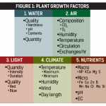 Plant-growth-factors