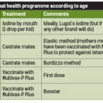 Table 1: General goat health programme according to age