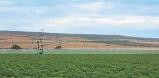 Farmers in the area are sensitive to water usage and adapt accordingly, so that farming remains sustainable.