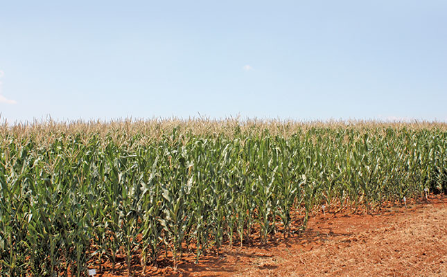 Guidelines for controlling fall armyworm