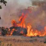 Veld fires remain a real danger to long-term sustainability