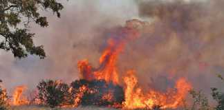 Veld fires remain a real danger to long-term sustainability