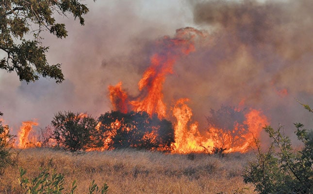 Veld fires remain a real danger to long-term sustainability