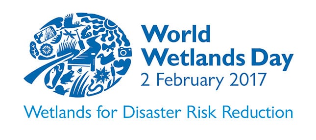 World Wetlands Day: Agriculture can use wetlands sustainably