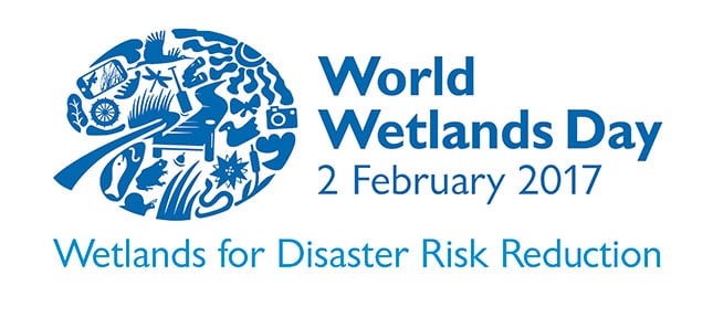 World Wetlands Day: Agriculture can use wetlands sustainably World Wetlands Day: Agriculture can use wetlands sustainably