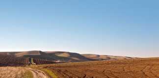 Grain SA rejects land reform without compensation