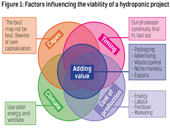Hydroponics: planning your project