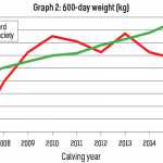Graph 2: 600-day weight (kg)