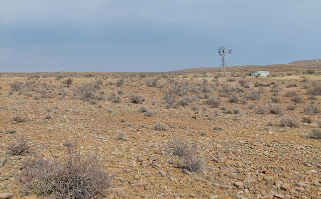 Tasman misses document deadline for Karoo uranium mining