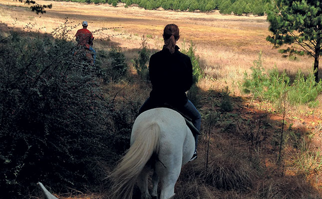 Visit Lakenvlei Forest Lodge