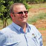 Citrus farming: off-season tasks