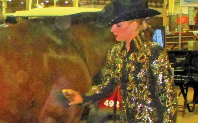 How much should a horse cost? How much should a horse cost?