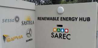 Renewable Energy Council wants more action from Eskom
