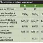 TABLE 6: The mean (± SD) for birthweight (kg), 100-day weight (kg) and weaning weight (kg) of the calves, as well as cow weight at weaning. The intercalving period (ICP) (days) and conception rate (%) of each supplementation treatment group is also given.