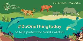 World-wildlife-day