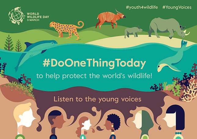 Celebrating World Wildlife Day Celebrating World Wildlife Day