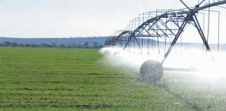 Addressing the risk of polluted irrigation water