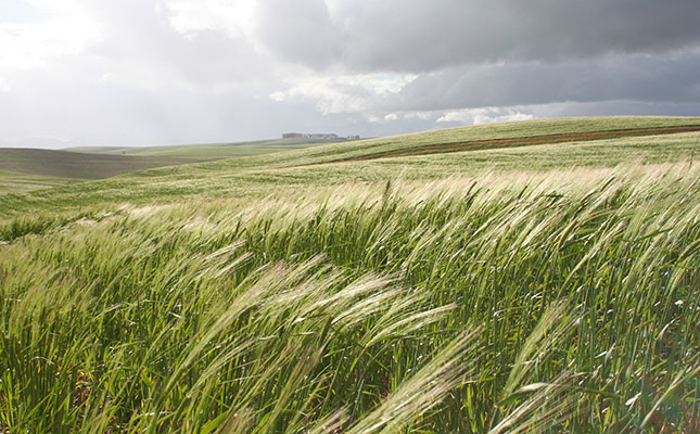 Young farmer critical after farm attack