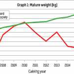 Graph 1: Mature weight