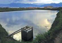 South Africa’s potential pond farming bonanza