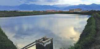 South Africa’s potential pond farming bonanza