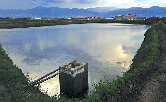 South Africa’s potential pond farming bonanza