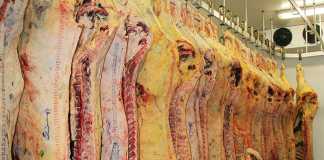 Red meat industry must control its own future