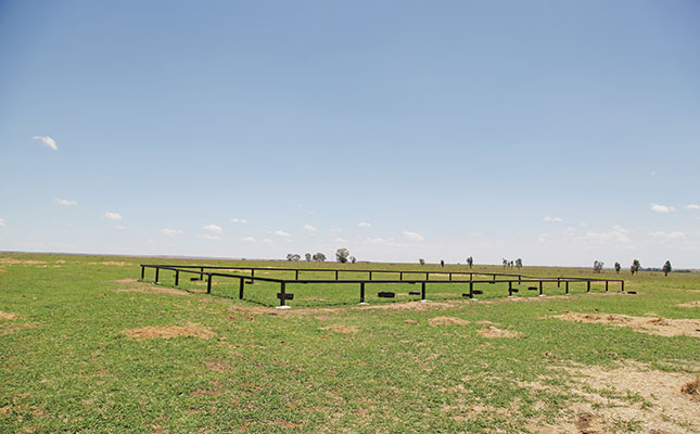 Is rhino breeding a potential gold mine for cattle farmers?