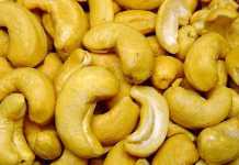 Kenyan cashew nut industry in dire straits