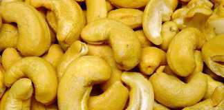 Kenyan cashew nut industry in dire straits