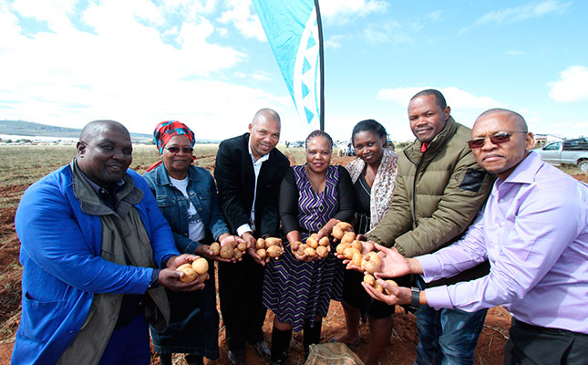 Eastern Cape potato co-ops cash in on commodity boom Eastern Cape potato co-ops cash in on commodity boom