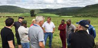 New Zealand experts share knowledge with SA dairy farmers