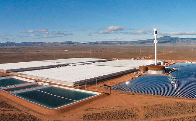 The use of seawater greenhouses in hydroponics The use of seawater greenhouses in hydroponics