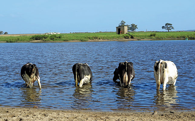 Biological farming ensures dairy farm’s success