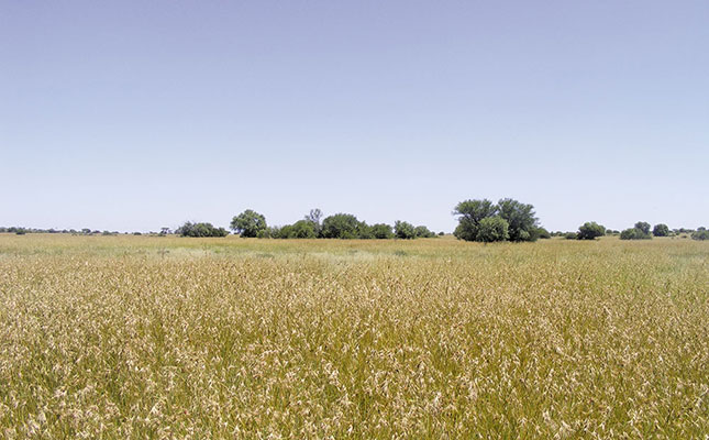 Farmers urged to stay calm and keep on farming